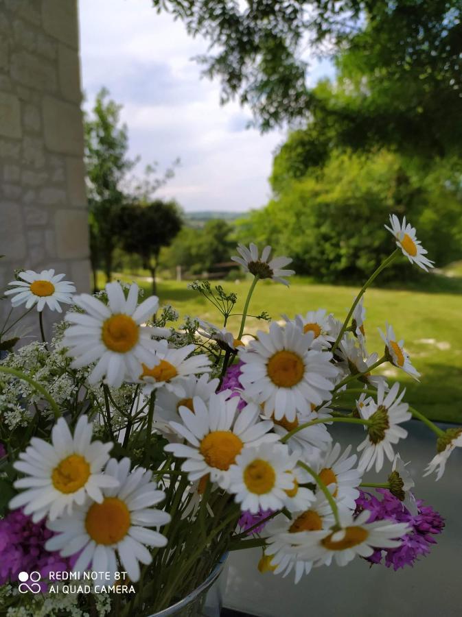 Gite La Roche Le Boulvé Exterior foto